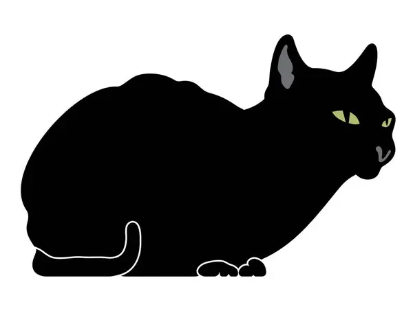 Beyaz bir arka plan üzerinde siyah kedi siluet