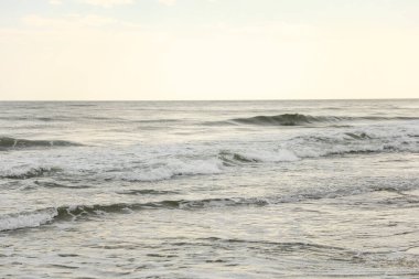 Kumda deniz dalgası