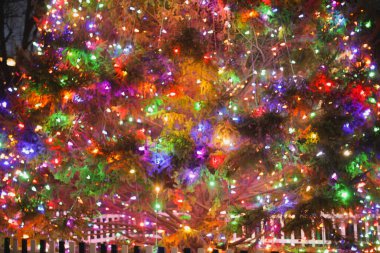 Işıklı Noel ağacı
