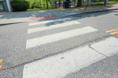 Şehir parkında kaldırımda zebra şeritli asfalt yol..