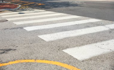 Zebra asfaltta geçiyor