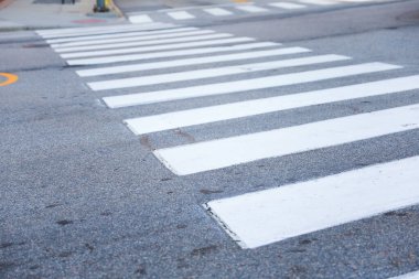 Zebra kaldırımdan geçiyor.