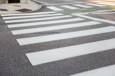 Zebra Japonya 'dan geçiyor.