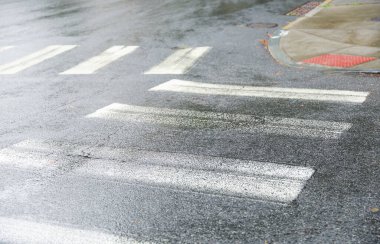 Islak asfalt yolu. Sokakta sarı ve beyaz renkli.