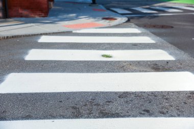 Sokaktan geçen trafik.