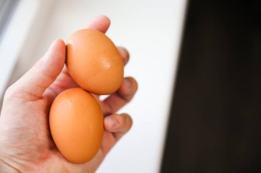 Tavuklu yumurtaları tutan ellerin yakın görüntüsü.