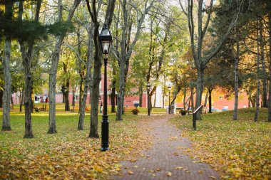 Sonbahar Parkı. Parka düş..
