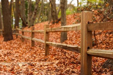 Sonbahar parkında yaprakları olan ahşap çitler..
