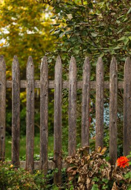 Parktaki eski ahşap çit