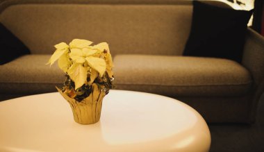 Bahçedeki güzel çiçekler