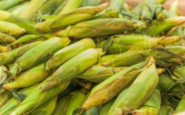 Pazarda taze mısır