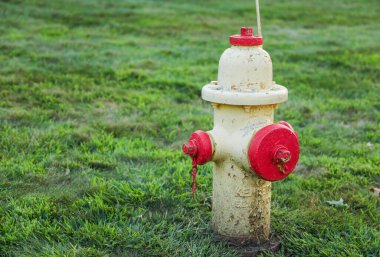 Yeşil çimlerde kırmızı yangın musluğu