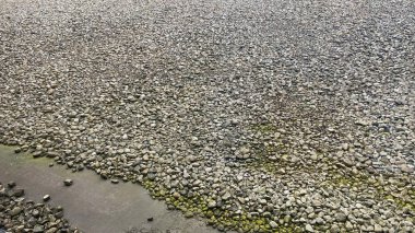 Sahilde deniz dalgaları ve kayalar