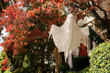 Ağaçta sonbahar yaprakları.