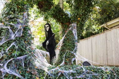 Cadılar Bayramı konsepti. Bahçedeki ağaçtaki korkunç örümcek.