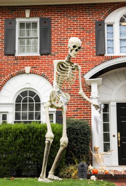 Cadılar bayramı evi, balkabakları ve süslemeleri..