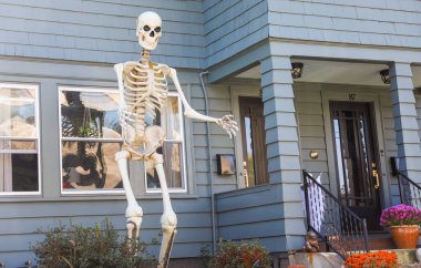 Köpekli bir evin iskeleti. Cadılar Bayramı.