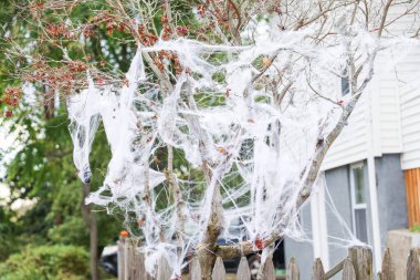Ağaçtaki cadılar bayramı süslemeleri