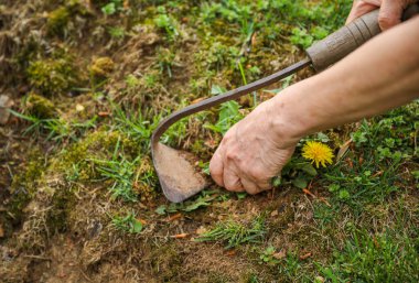 Bir adam baharda bir bahçede nişanlanır.