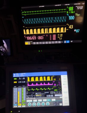 Profesyonel bir bilgisayar monitörünün dikey görüntüsü