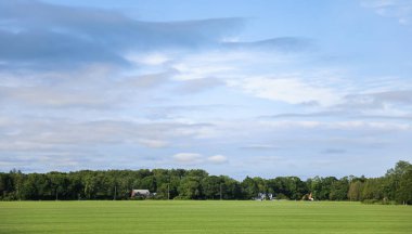 Mavi gökyüzü olan yeşil bir tarla