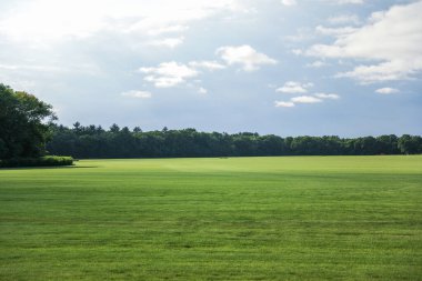 Parkın güzel manzarası