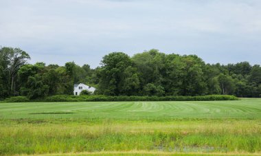 Yeşil tarlası ve küçük beyaz evi olan güzel bir manzara.