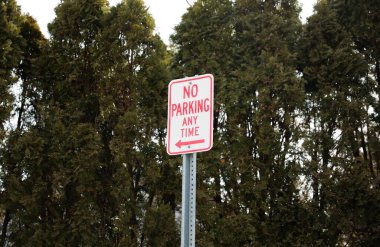 Parktaki ağaçta park levhası yok.