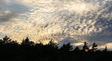 Güzel günbatımı gökyüzü, bulutlar, doğa ve güzellik konsepti