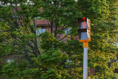 Parktaki kırmızı lamba