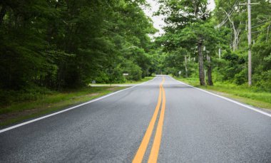 Yeşil ağaçları ve ormanı olan boş bir yol.