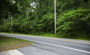 Ağaçların arasından geçen bir yolun dikey çekimi.