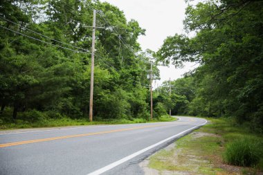 road in the forest in the countryside