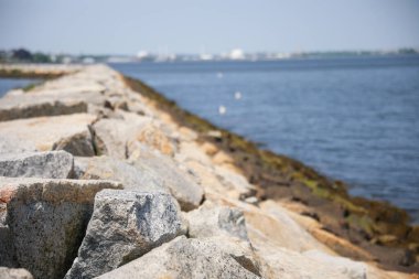 Baltık Denizi Şehri