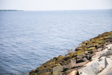 Deniz kıyısının güzel manzarası