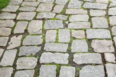 Yeşil çimenli taş kaldırım.