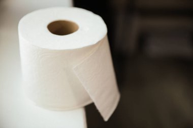 Tuvalet kağıdı banyoya yaklaşır.