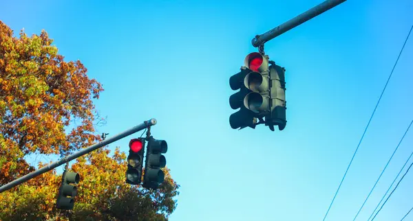 Parktaki trafik ışığı