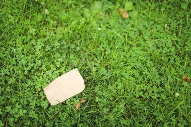 Yeşil yapraklı kese kağıdı.