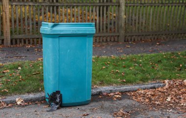 Sokaktaki çöp tenekesi