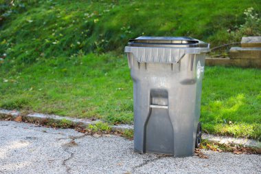 Çimlerin üzerindeki çöp kutusu.