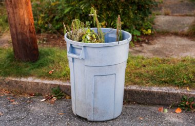 Akşamları eski şehrin sokaklarında çöp tenekesi