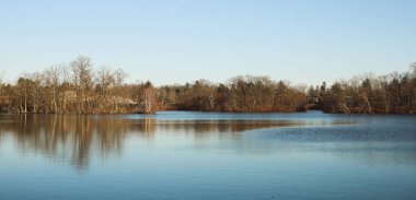 Sonbahar ormanında bir göl manzarası