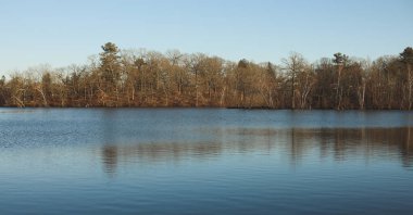 Güzel sonbahar manzarası, ağaçlar ve orman