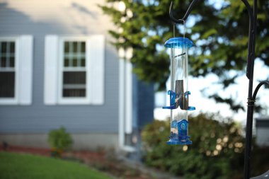 Arka planda bulanık su bulunan mavi şişe.