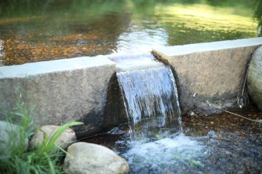 Ormanın kenarındaki çeşme.