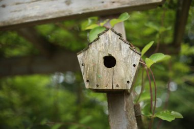 Bahçedeki ahşap kuş yuvası