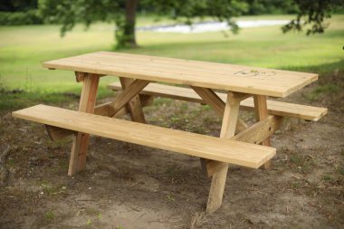 Orman parkındaki ahşap bank.