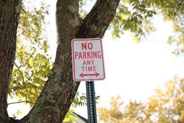 Parktaki yolda park tabelası