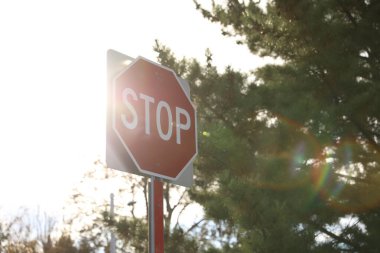 Ağaçların arka planında dur işareti